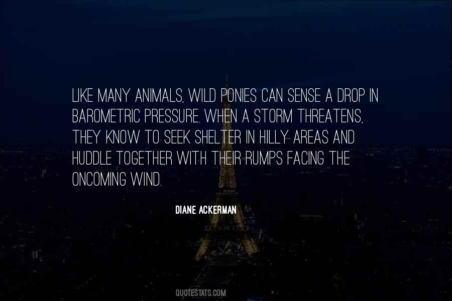 Quotes About Animals In The Wild #1273082