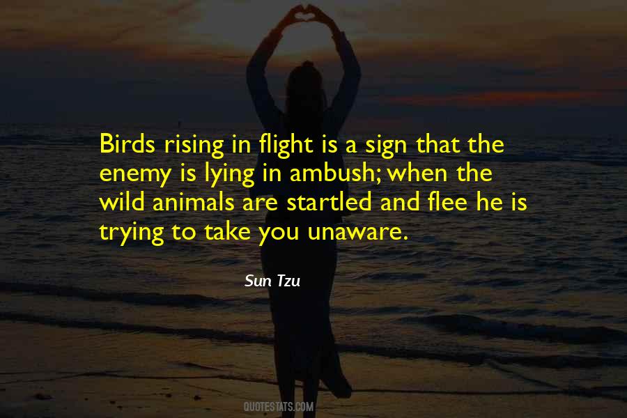 Quotes About Animals In The Wild #1442629