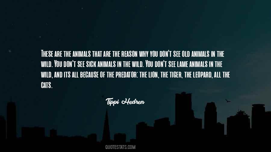 Quotes About Animals In The Wild #1714298