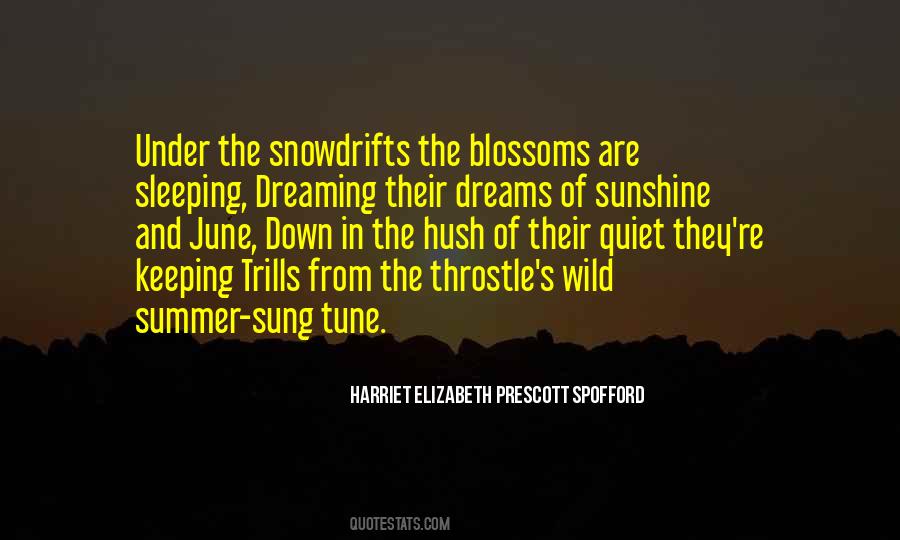 Sayings About Sleeping And Dreaming #1044921