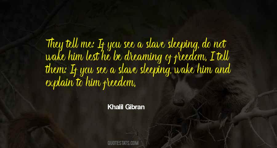 Sayings About Sleeping And Dreaming #1853299