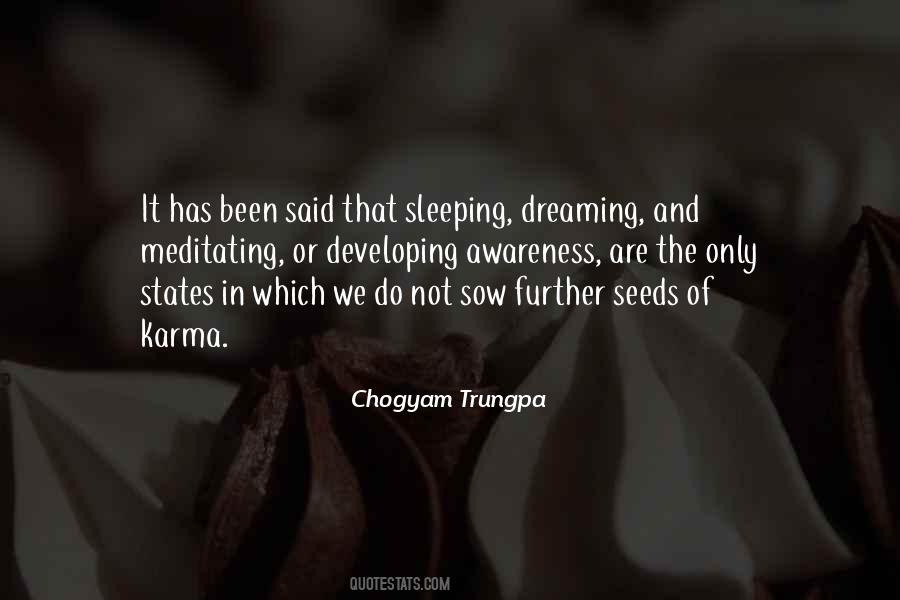 Sayings About Sleeping And Dreaming #523200
