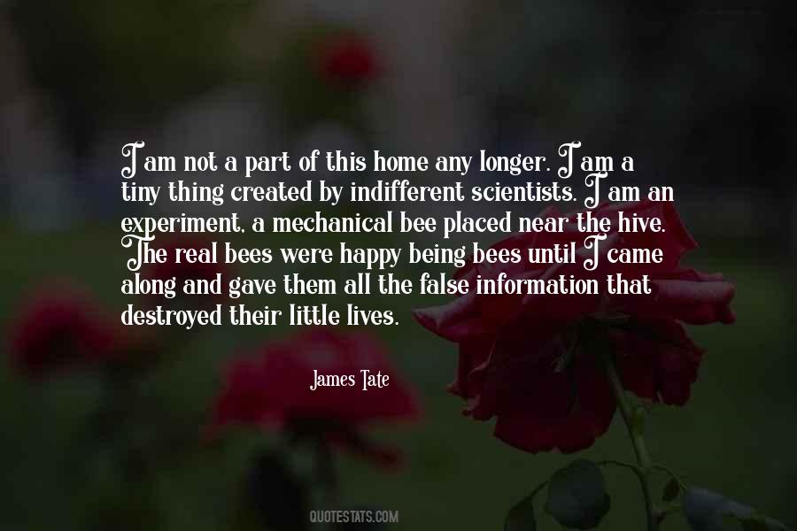 Sayings About Being False #418901