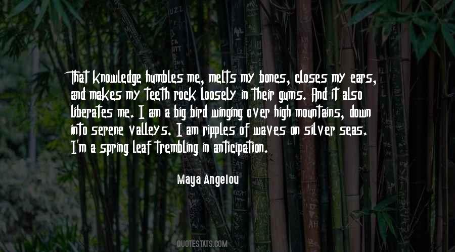 Sayings About Big Teeth #1455048