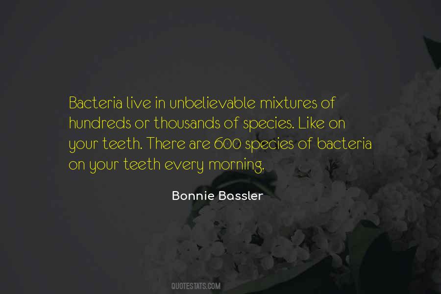 Sayings About Your Teeth #1286812