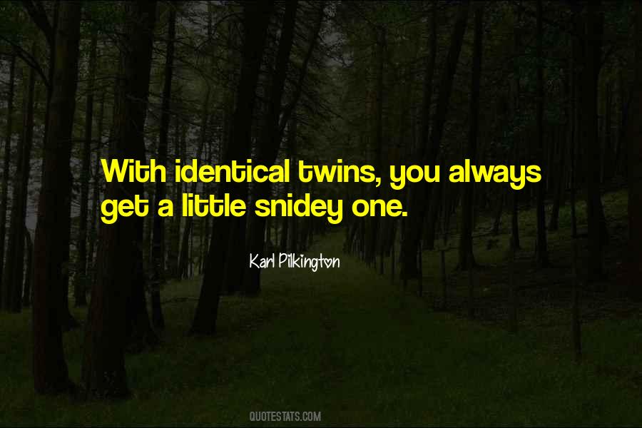 Sayings About Having Twins #100588