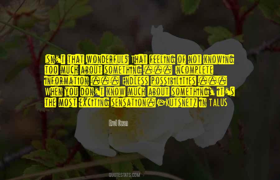 Sayings About Being Incomplete #92439