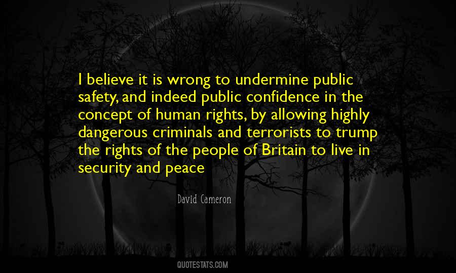 Sayings About Peace And Security #360515