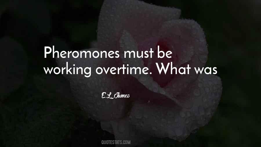 Sayings About Working Overtime #1542009