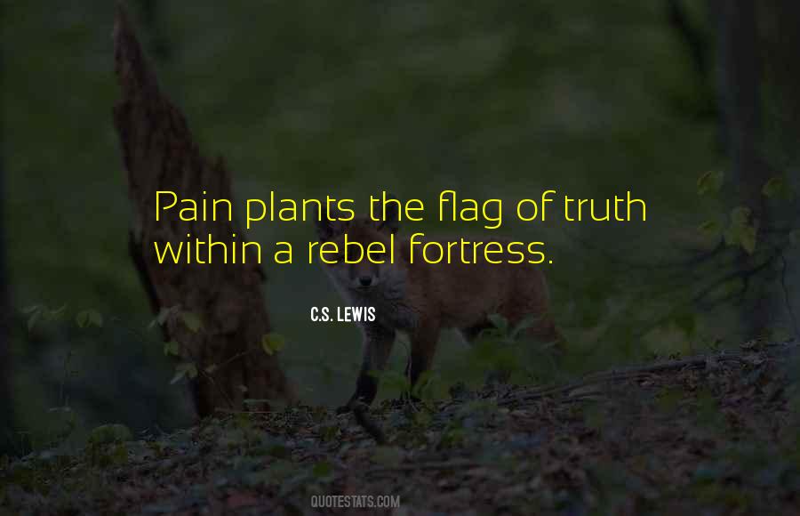 Sayings About The Rebel Flag #1234905