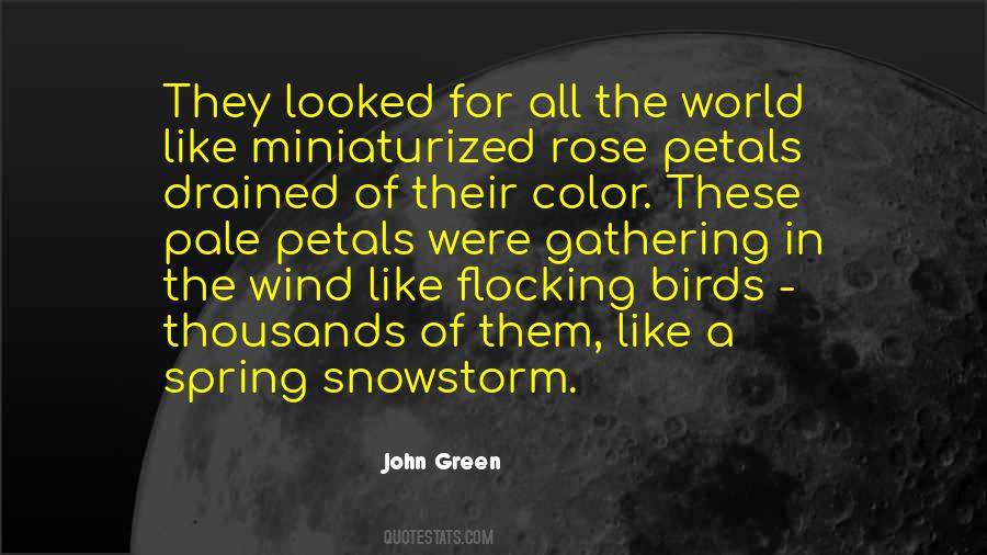 Sayings About Spring Birds #173446