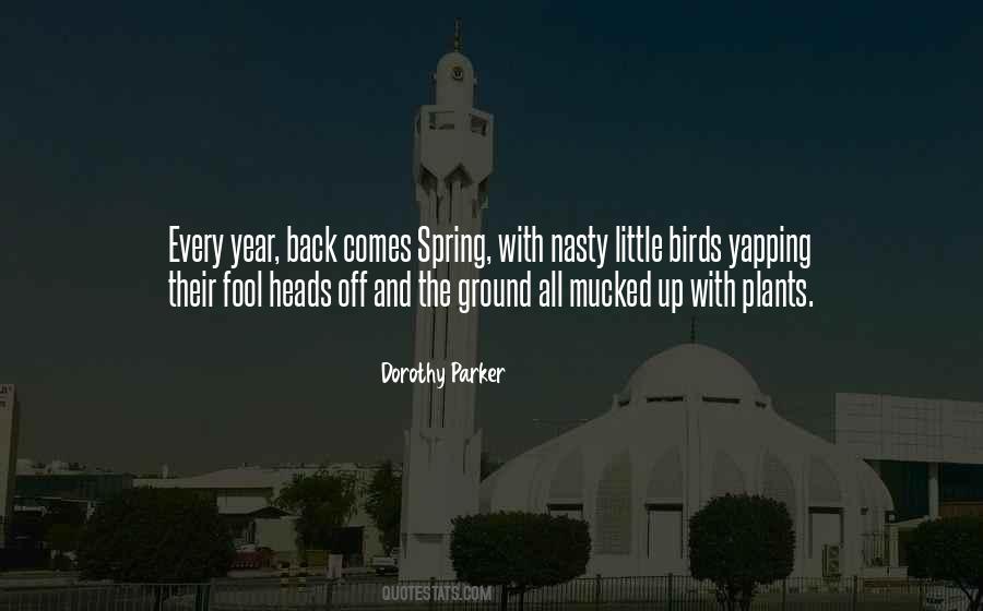 Sayings About Spring Birds #259569