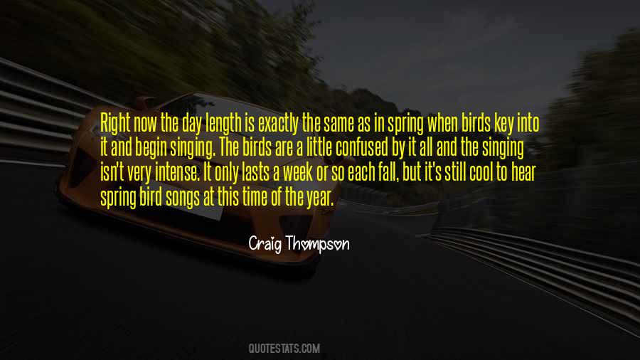 Sayings About Spring Birds #827726