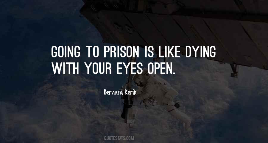 Sayings About Going To Prison #1289241