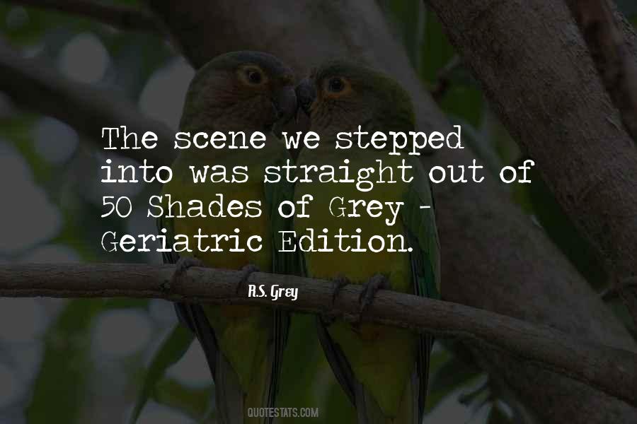 Quotes About 50 Shades Of Grey #892385