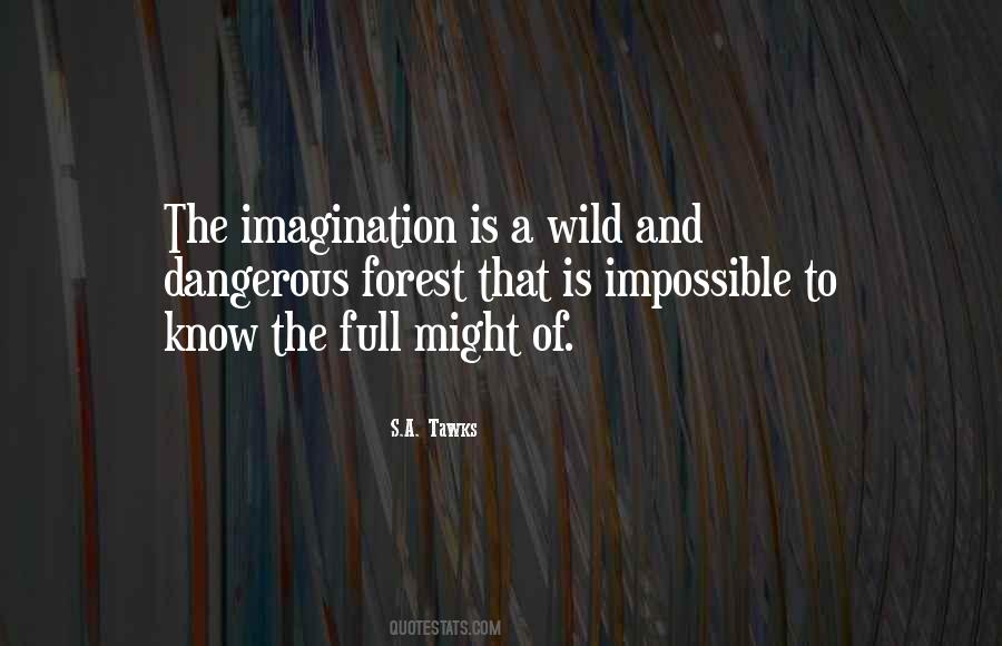 Sayings About The Imagination #1228709