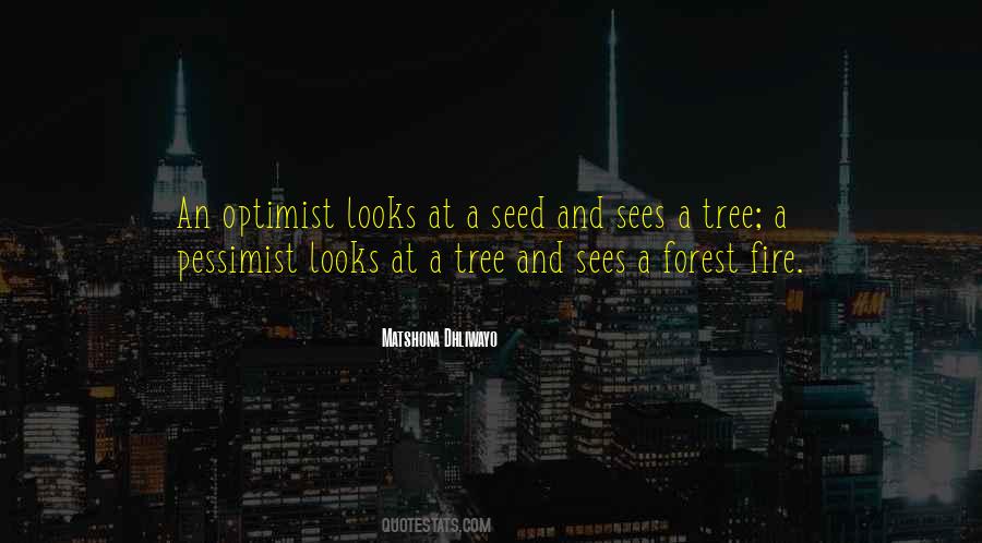 Sayings About A Forest #1777609