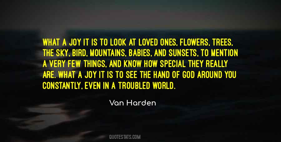 Sayings About Bird In The Hand #654987