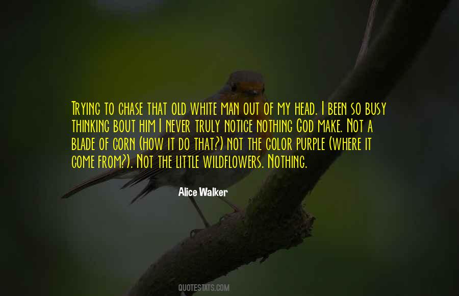 Sayings About The Color Purple #1561325