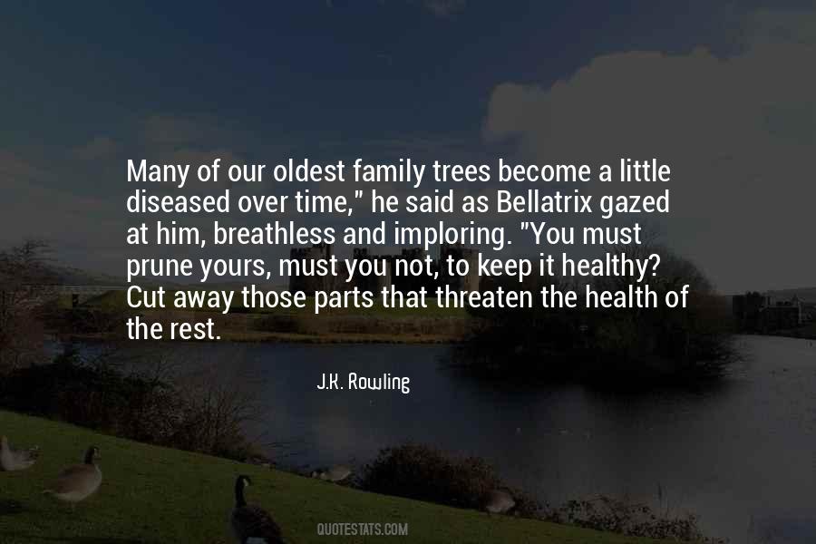Sayings About Family And Trees #610439