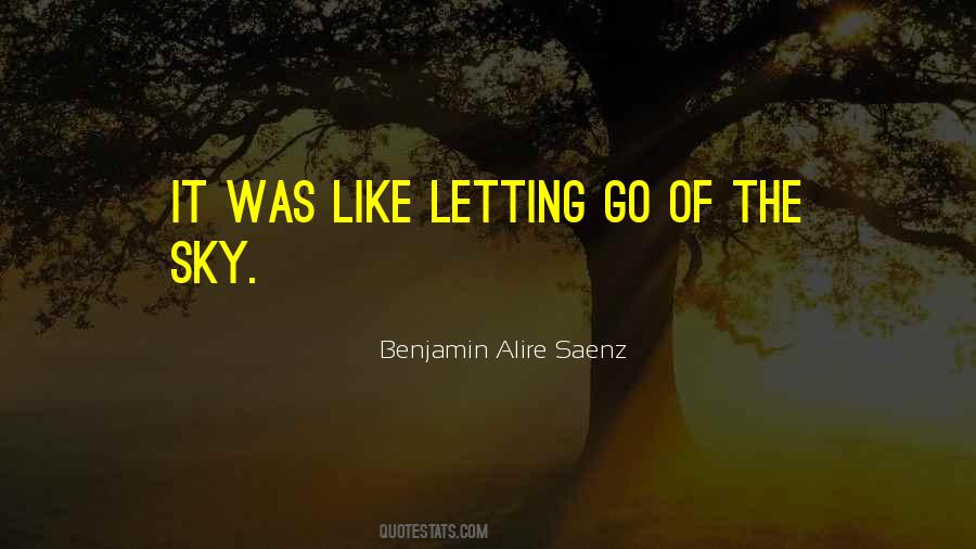 Sayings About Letting It Go #66776