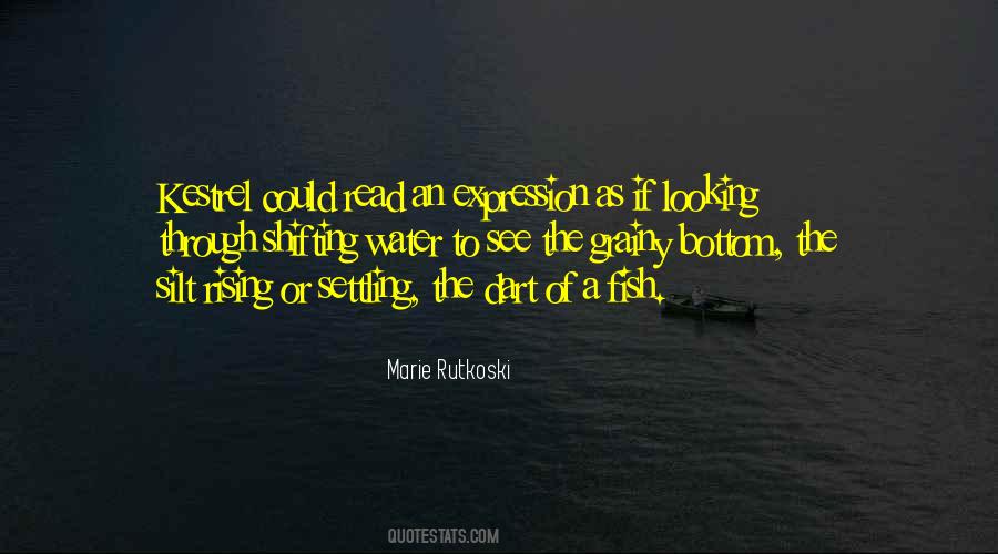 Sayings About A Fish #1008397