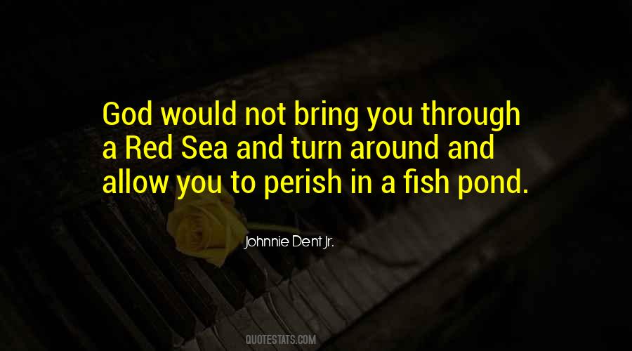 Sayings About A Fish #1201395
