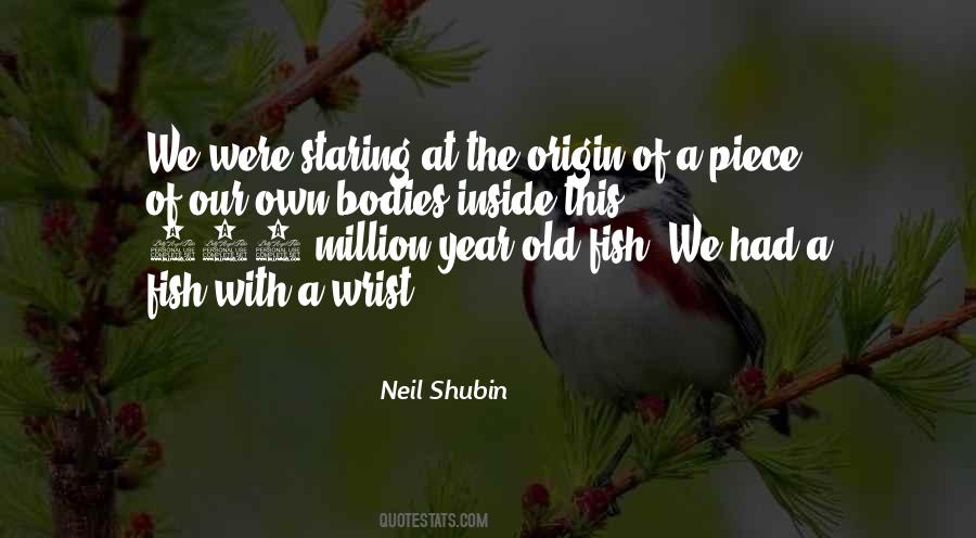 Sayings About A Fish #1253674