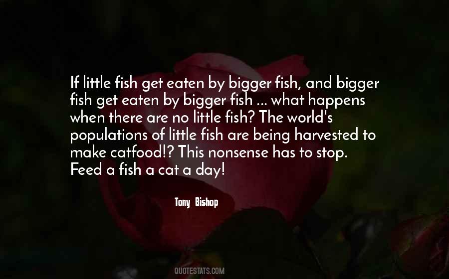 Sayings About A Fish #1375682