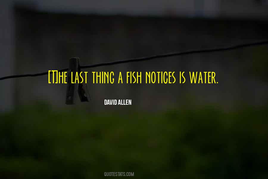 Sayings About A Fish #9251