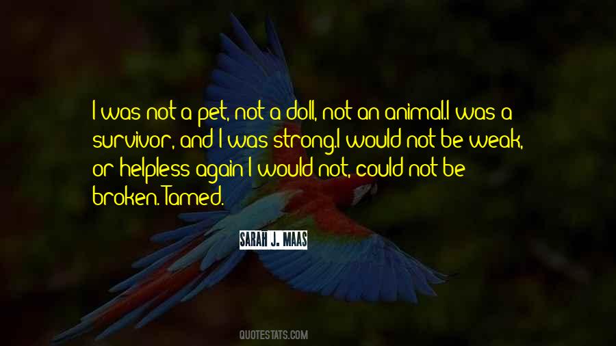 Sayings About A Pet #408012