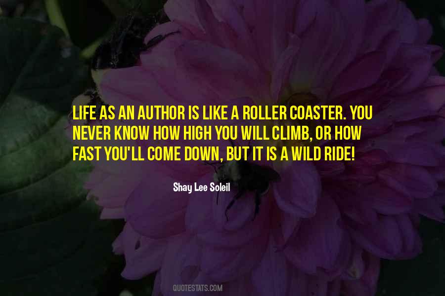Sayings About Life Is Like A Roller Coaster #1138064