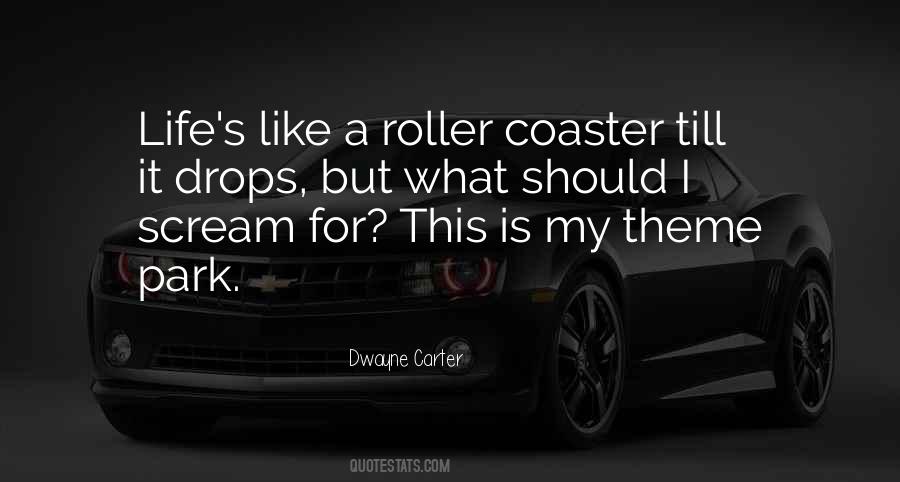 Sayings About Life Is Like A Roller Coaster #1138199