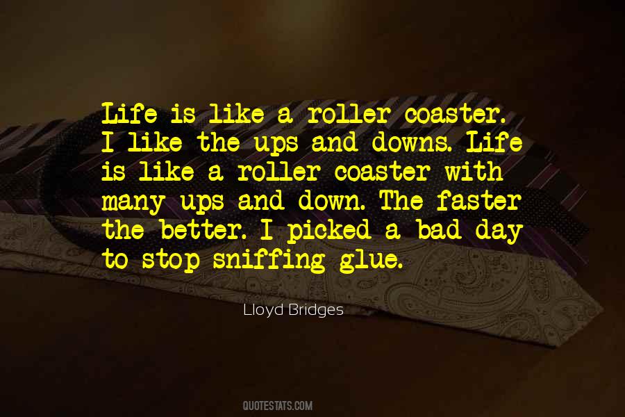 Sayings About Life Is Like A Roller Coaster #1648652