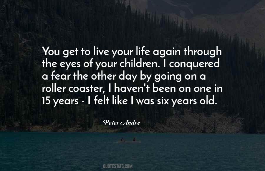 Sayings About Life Is Like A Roller Coaster #699457
