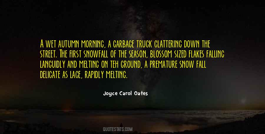 Sayings About The First Snowfall #302144