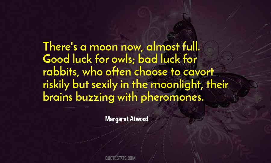 Sayings About A Full Moon #11644