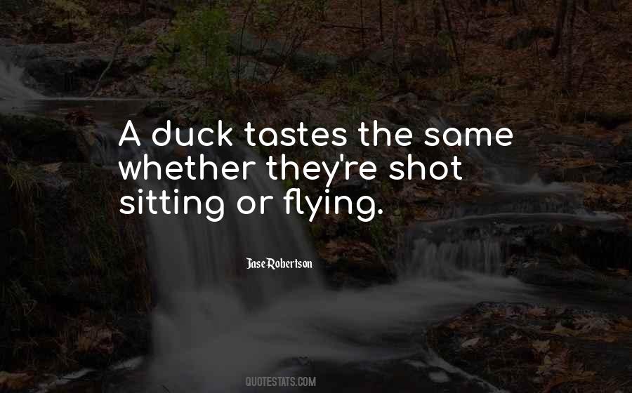 Sayings About A Duck #1784274