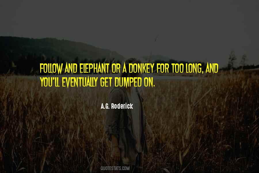 Sayings About A Donkey #1208089