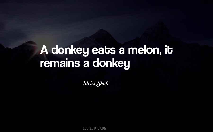 Sayings About A Donkey #416848