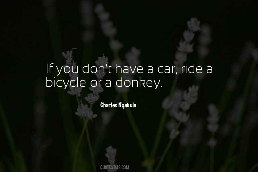 Sayings About A Donkey #828488