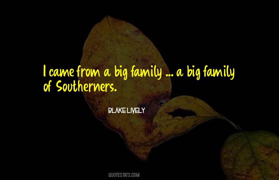 Sayings About A Big Family #1472747
