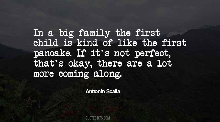 Sayings About A Big Family #22942