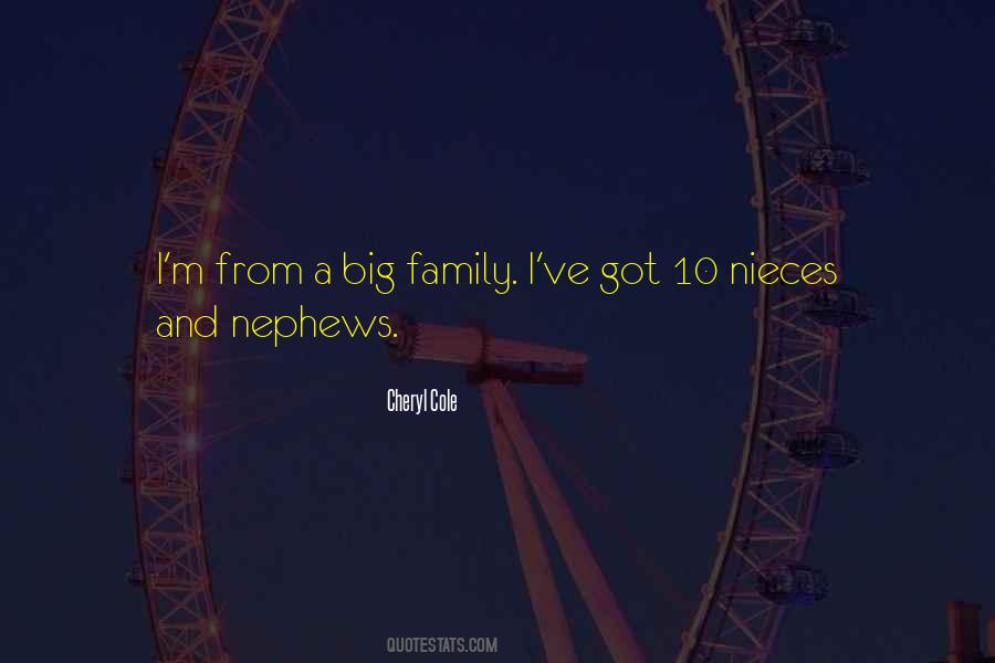Sayings About A Big Family #261531
