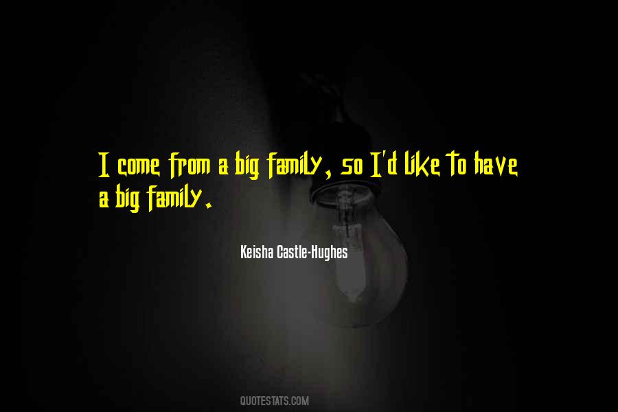 Sayings About A Big Family #839