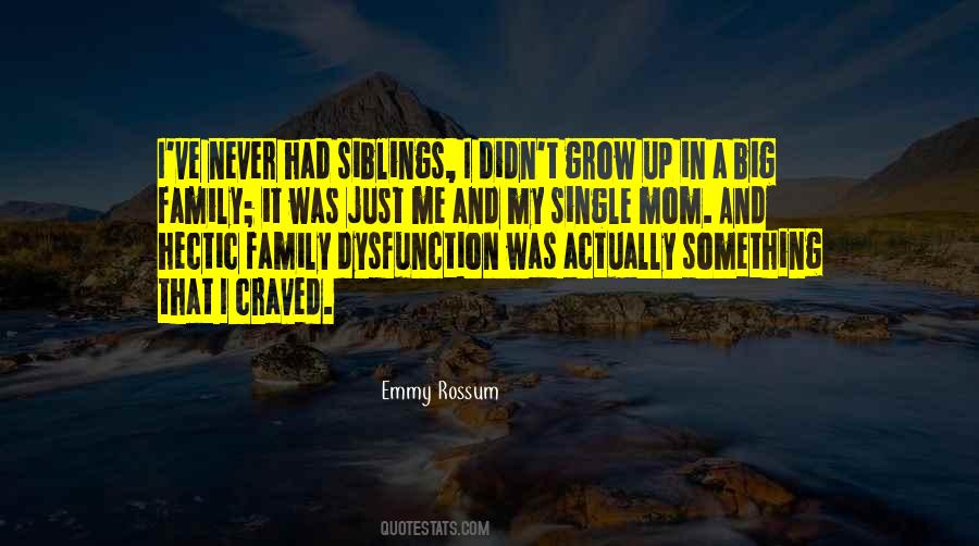 Sayings About A Big Family #997983