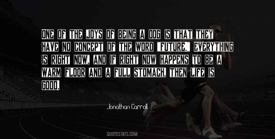Sayings About A Good Future #641434