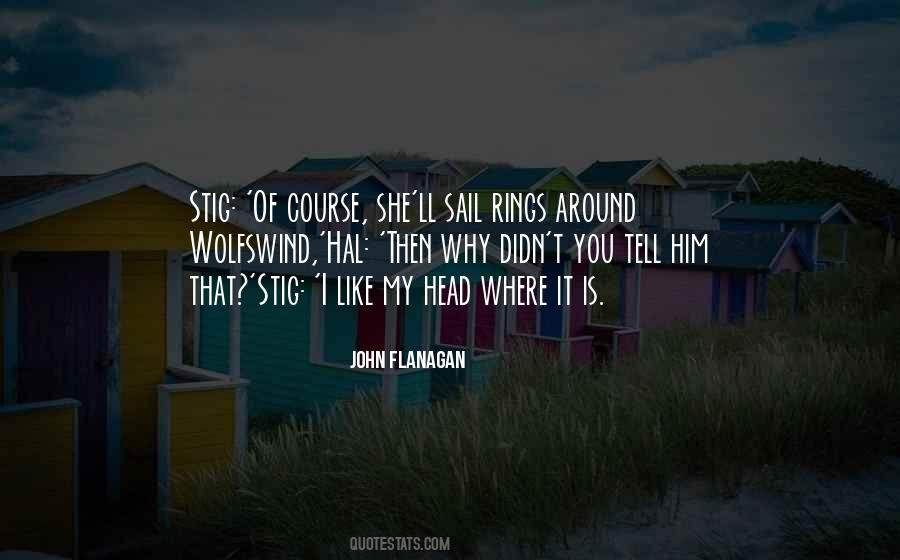 Sayings About The Stig #730305