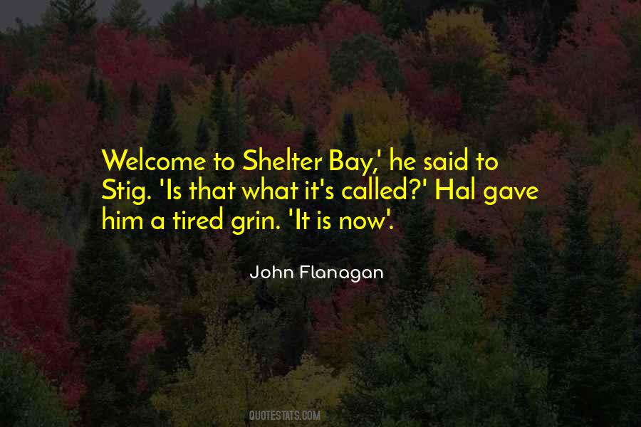 Sayings About The Stig #835118