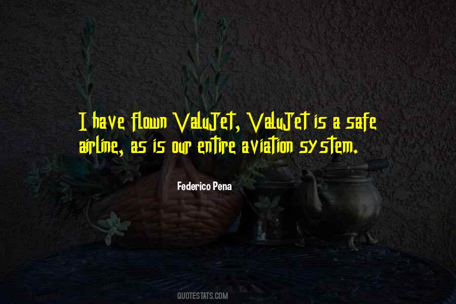 Quotes About Airline Safety #853417